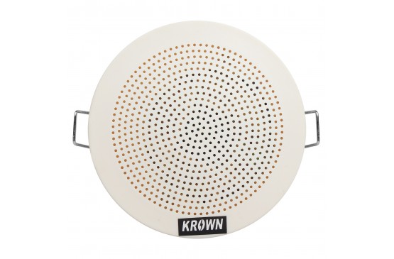 Ceiling Speaker CS-300